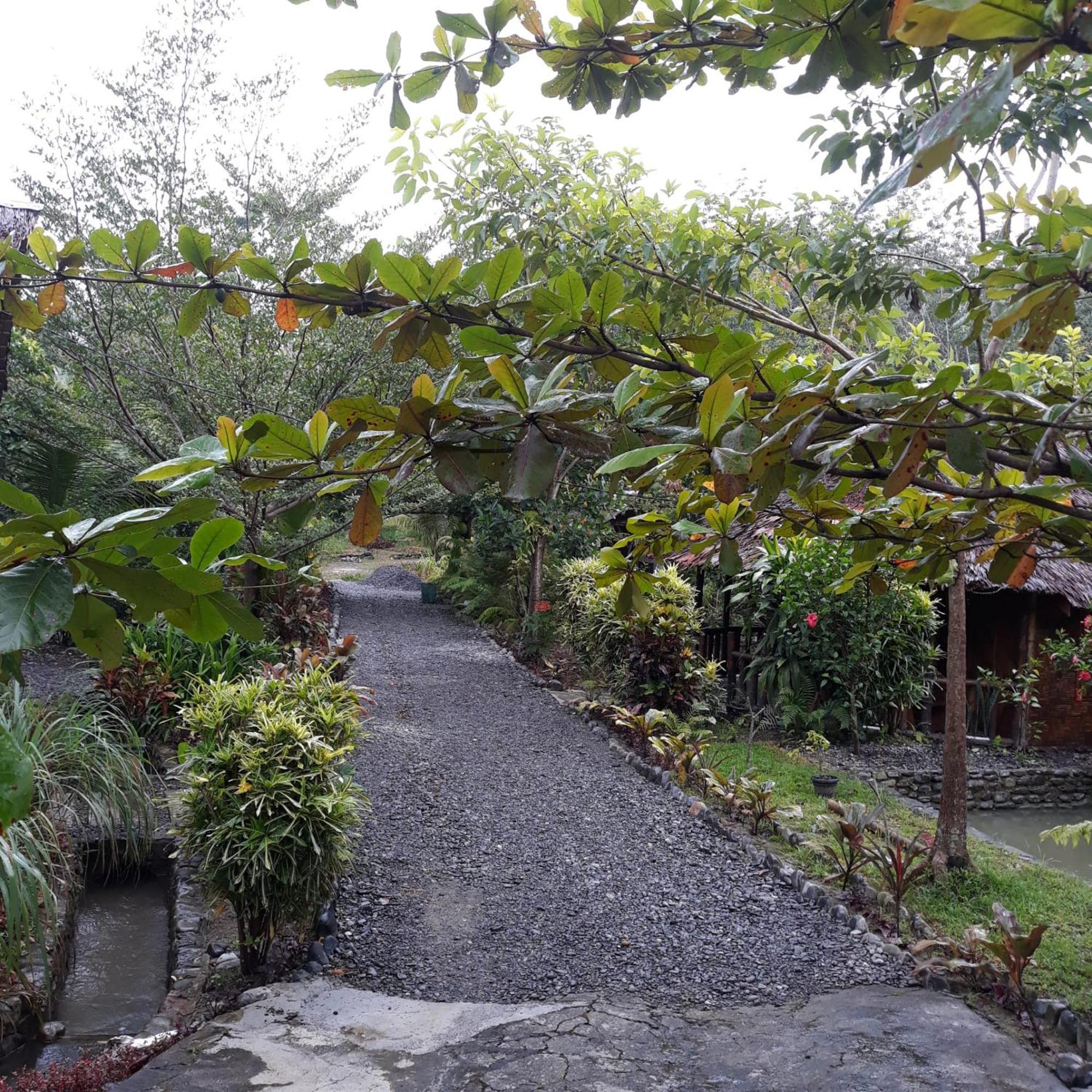 Magpie Homestay & Jungle Trekking Especially For Guest Trekking With Us بوكيت لاوانج الغرفة الصورة