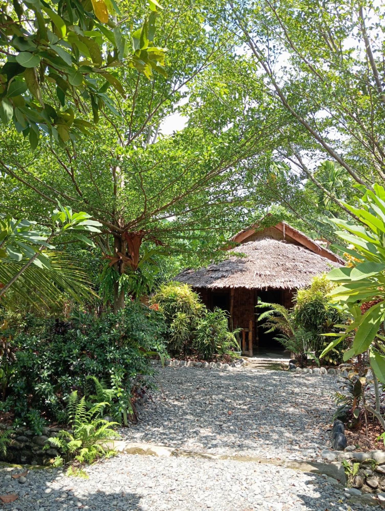 Magpie Homestay & Jungle Trekking Especially For Guest Trekking With Us بوكيت لاوانج المظهر الخارجي الصورة