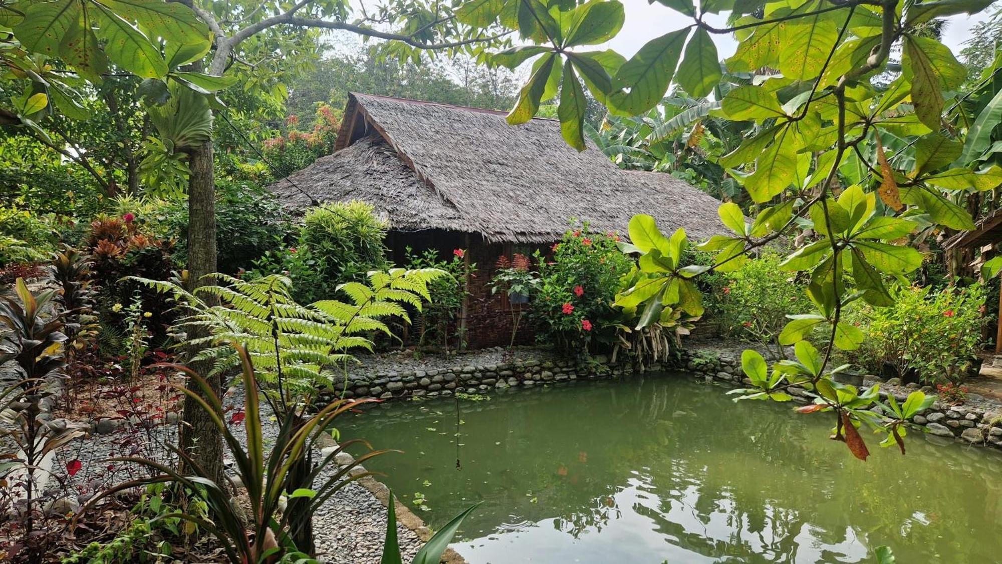 Magpie Homestay & Jungle Trekking Especially For Guest Trekking With Us بوكيت لاوانج المظهر الخارجي الصورة