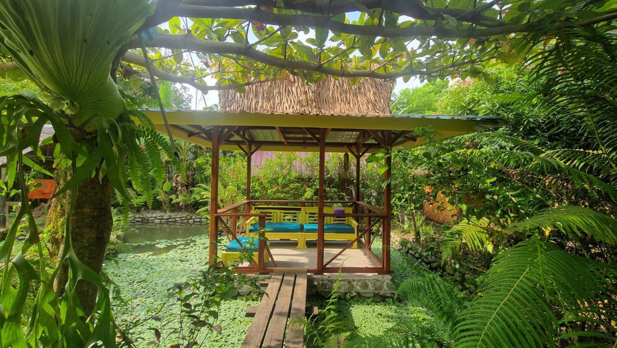 Magpie Homestay & Jungle Trekking Especially For Guest Trekking With Us بوكيت لاوانج المظهر الخارجي الصورة