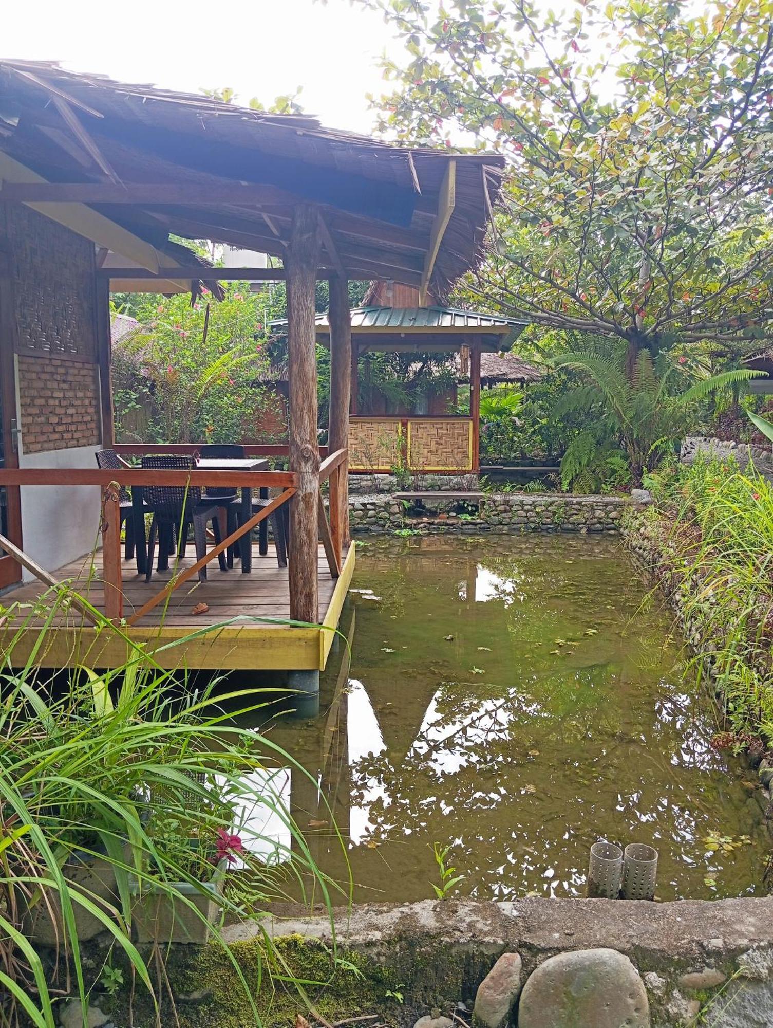 Magpie Homestay & Jungle Trekking Especially For Guest Trekking With Us بوكيت لاوانج الغرفة الصورة