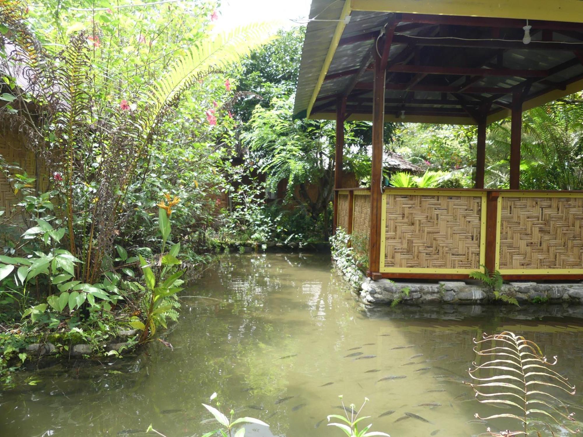 Magpie Homestay & Jungle Trekking Especially For Guest Trekking With Us بوكيت لاوانج الغرفة الصورة